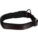  Halsband  Abbi Zwart