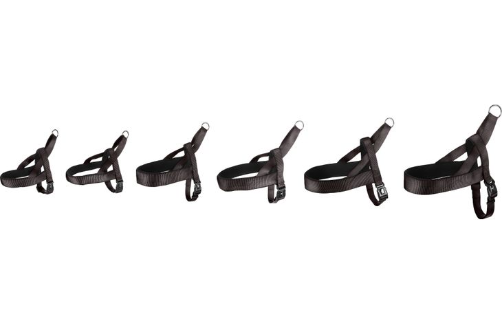 Flamingo Harnais Noors Abbi Noir