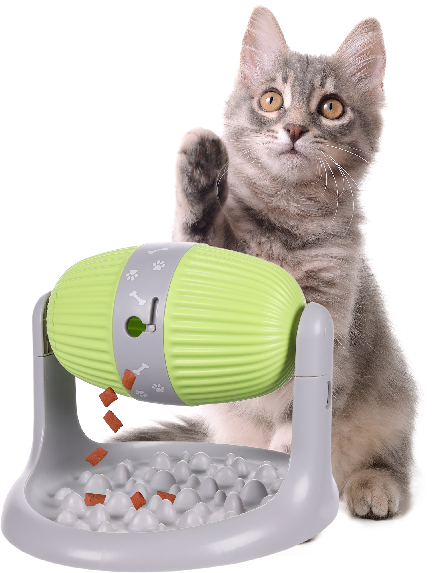 Cat treat outlet dispenser