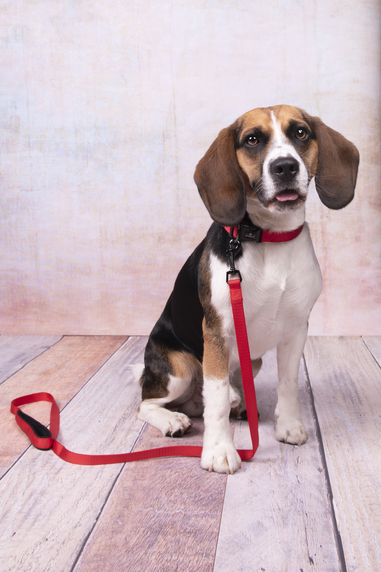 Flamingo Collar Abbi Red