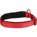 Halsband Abbi Rood