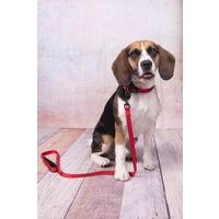 Flamingo Halsband Abbi Rood