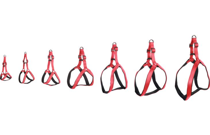 Flamingo Harnas Step&Go Abbi Rood