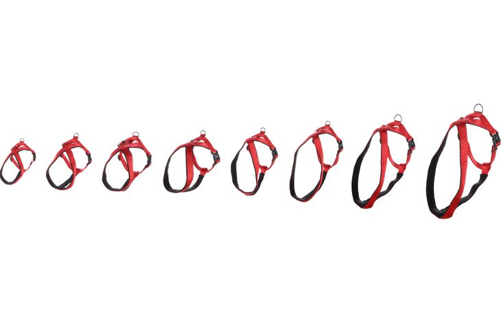 Flamingo Harness Cross Abbi Red