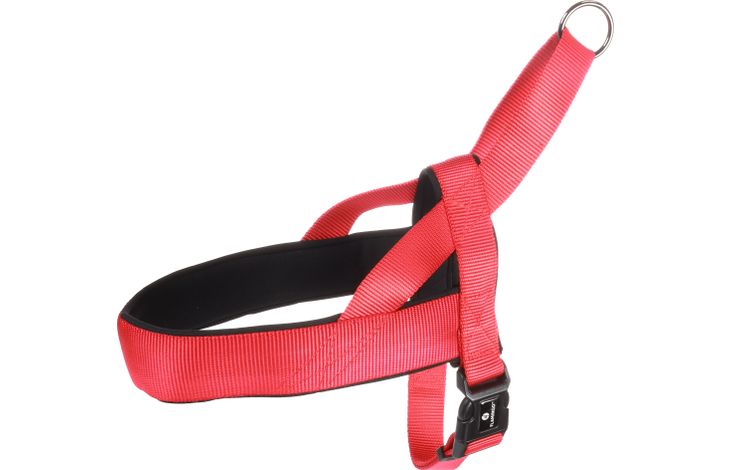 Flamingo Harnas Noors Abbi Rood