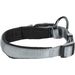  Halsband  Abbi Grijs