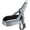 Harness Noors Abbi Grey