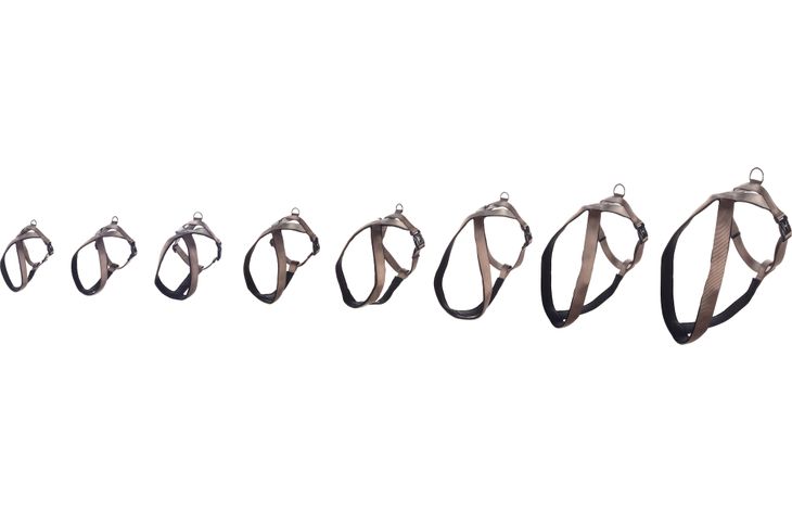 Flamingo Harness Cross Abbi Taupe