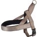 Harness Noors Abbi Taupe