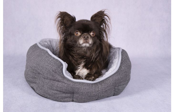 Flamingo Basket Zupo Octagon Dark grey