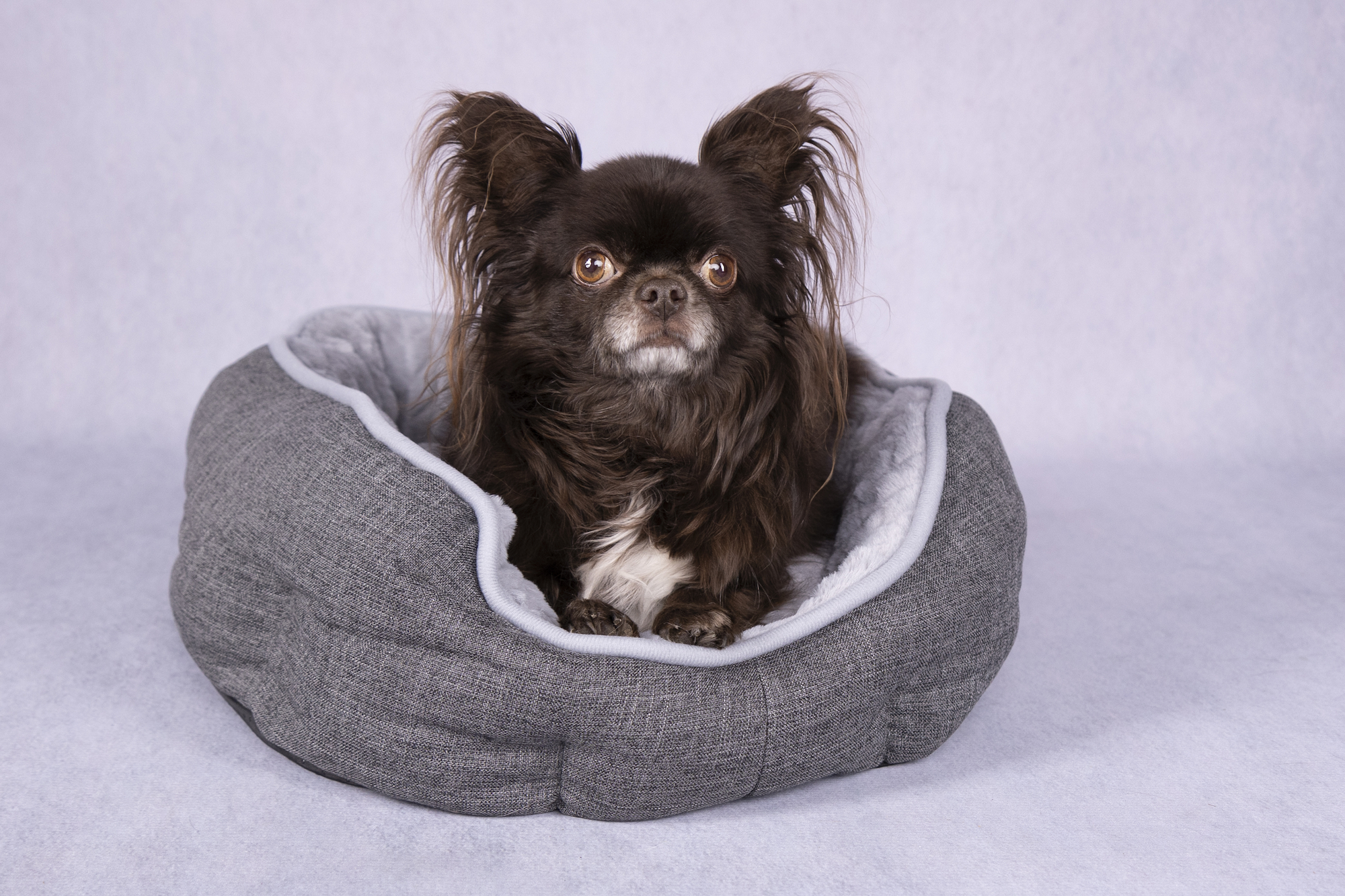 Flamingo Korb Zupo Achteck Dunkelgrau