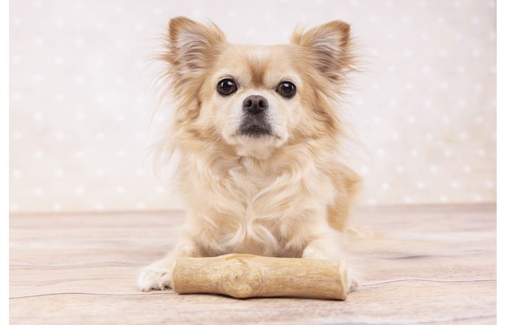 Flamingo Spielzeug Java Stock Kauholz Hellbraun