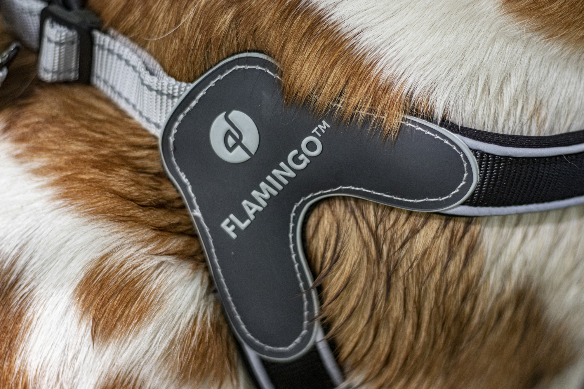 Flamingo Pettorina Easy Hilka Nero