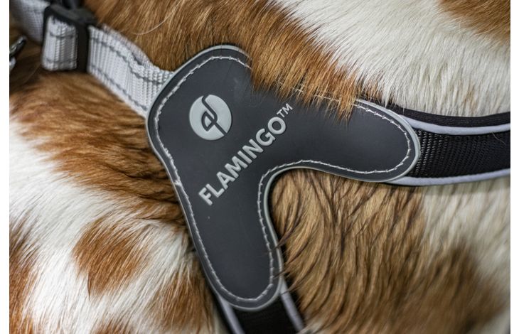 Flamingo Harness Easy Hilka Black