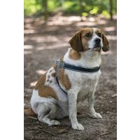 Flamingo Harnas Easy Hilka Zwart