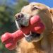 Kong® Speelgoed Goodie Bone™ Rood Been