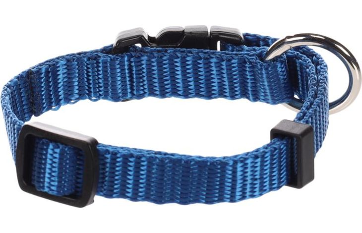 Flamingo Collar Ziggi Blue