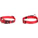  Halsband  Ziggi Rood