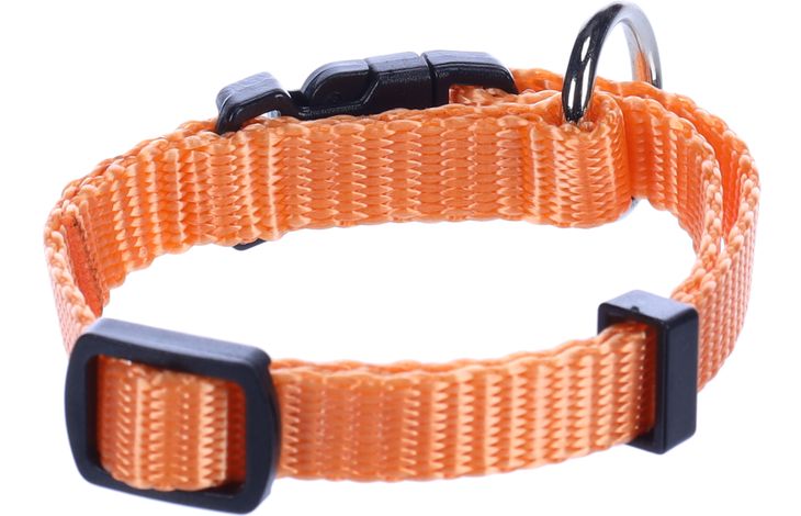 Flamingo  Halsband  Ziggi Orange