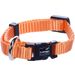  Halsband  Ziggi Orange