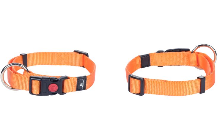 Flamingo  Halsband  Ziggi Orange