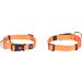  Halsband  Ziggi Orange