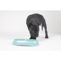 Flamingo Feeding and drinking bowl Muk Round Light blue