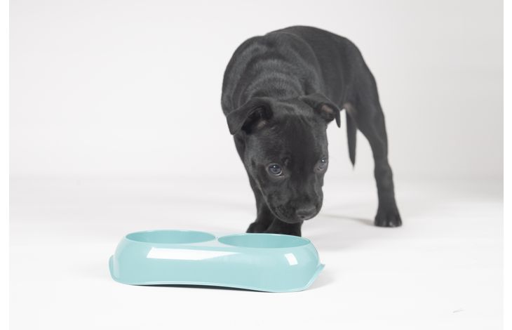 Flamingo Feeding and drinking bowl Muk Round Light blue