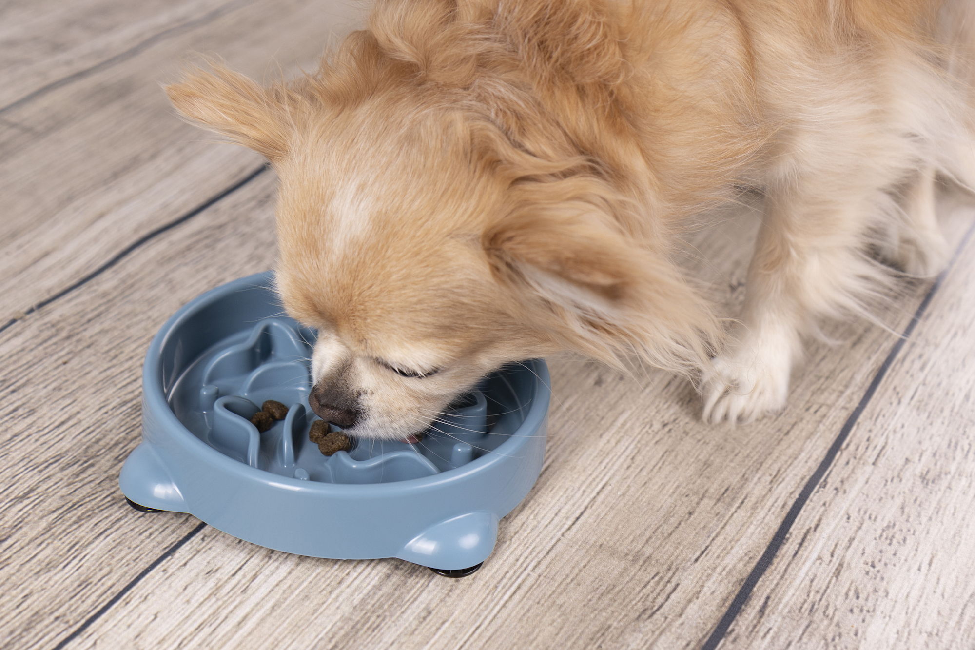 Flamingo Bol para comida Slow feeder Beno Redondo Petróleo