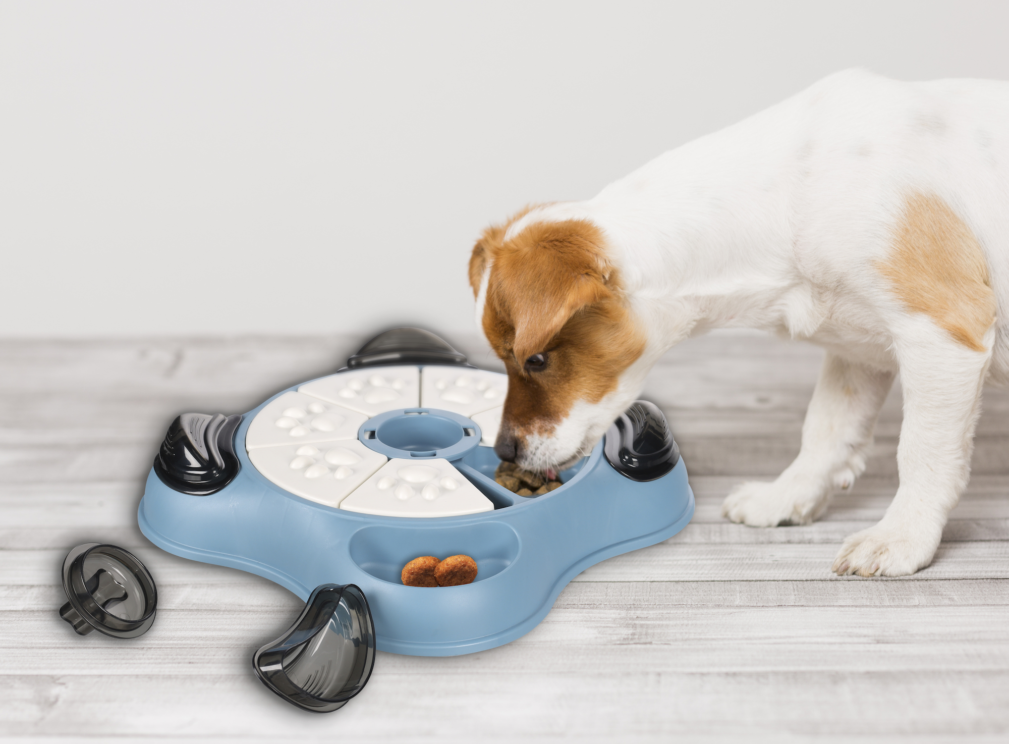 Flamingo Toy Brain train Sherlock Paw Cliff Petrol