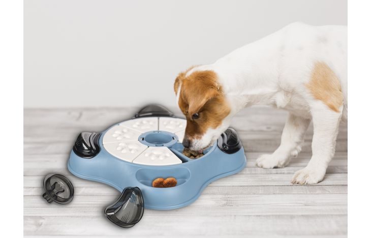 Flamingo Toy Brain train Sherlock Paw Cliff Petrol