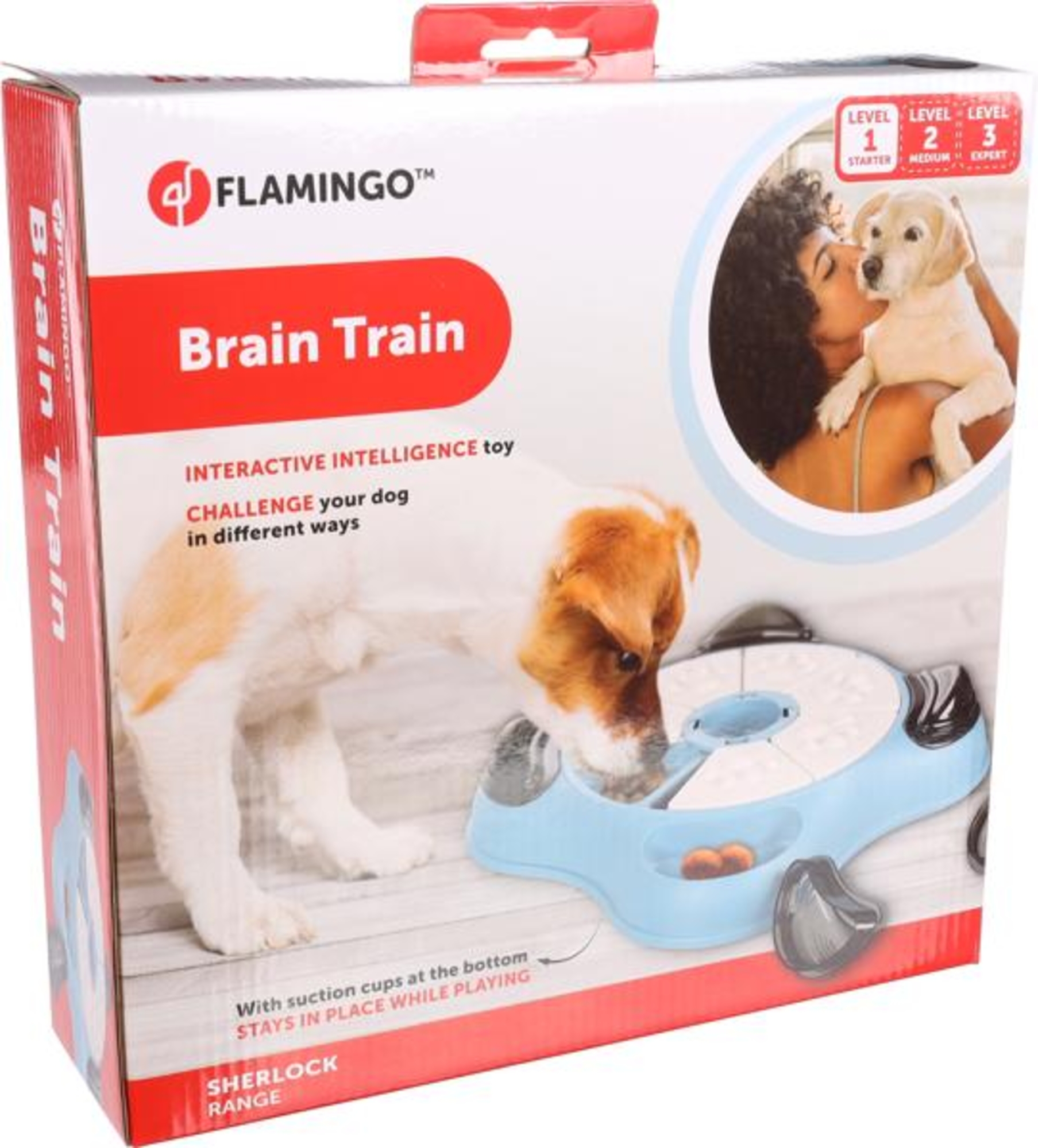 Flamingo Toy Brain train Sherlock Paw Cliff Petrol