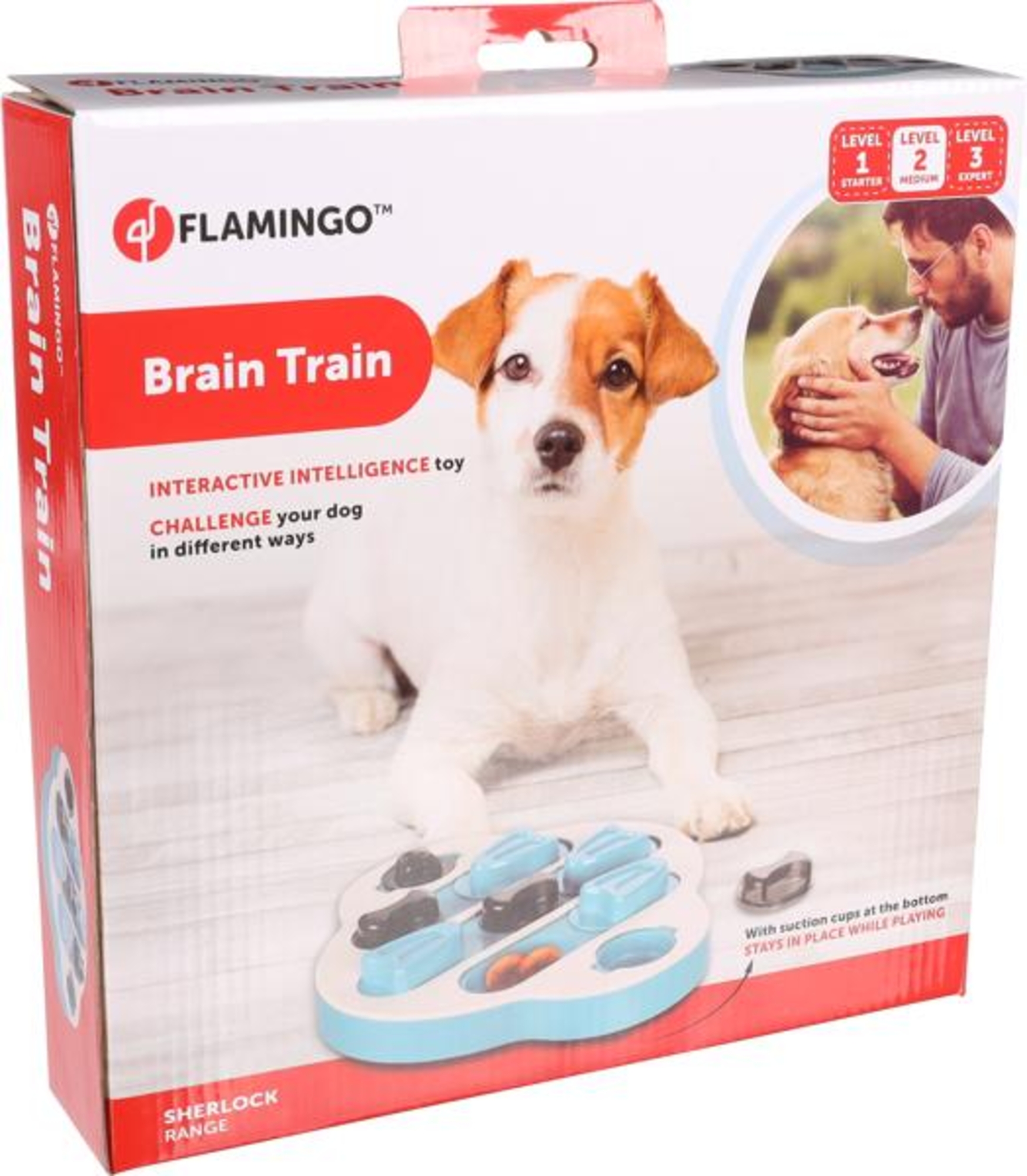 Flamingo Toy Brain train Sherlock  Clyde Petrol