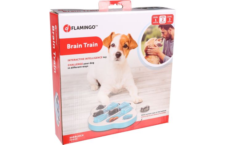 Flamingo Speelgoed Brain train Sherlock  Clyde Petrol
