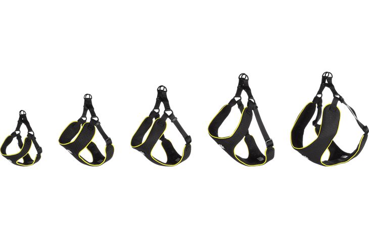 Flamingo Geschirr  Step&Go Tasha Schwarz