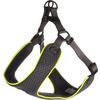 Geschirr Step&Go Tasha Grau