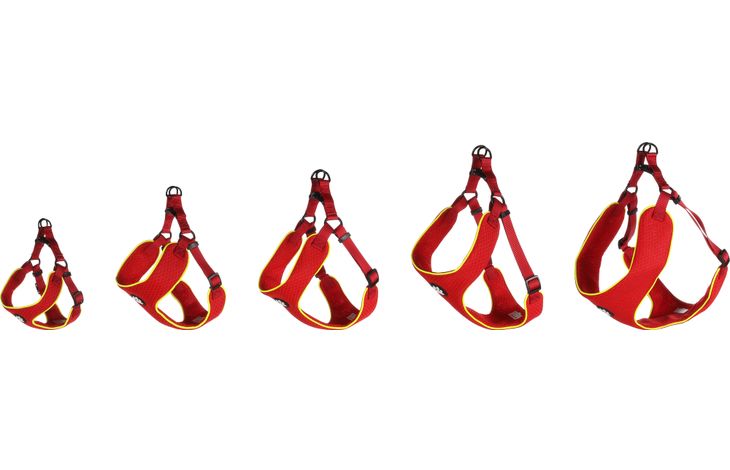 Flamingo Geschirr  Step&Go Tasha Rot