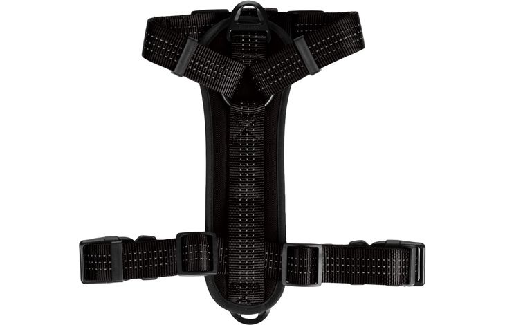 Flamingo Harness Zorba Black