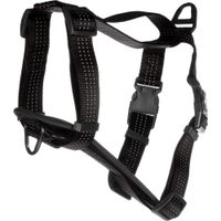 Flamingo Harness Zorba Black