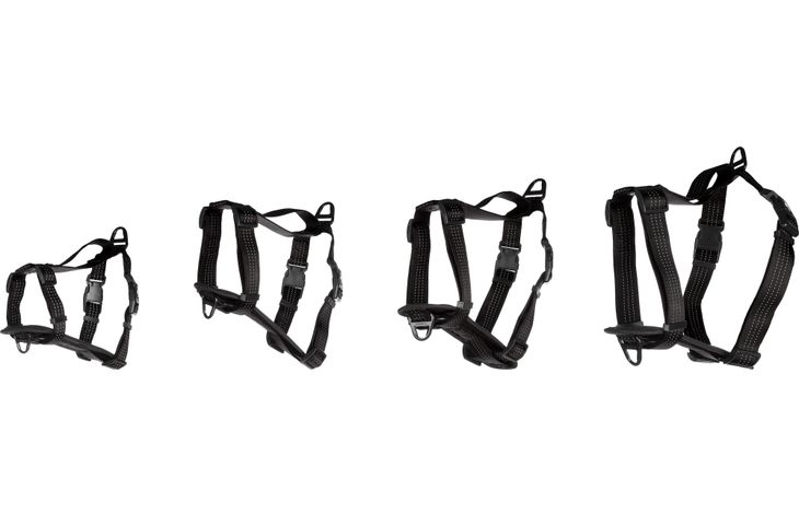 Flamingo Harness Zorba Black