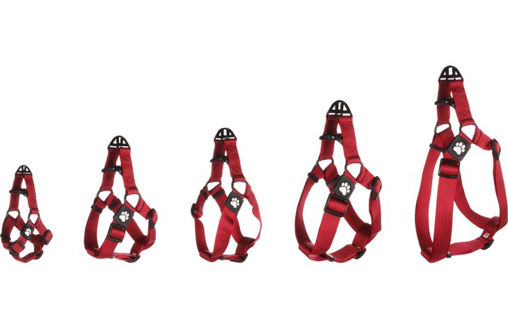 Flamingo Harnas Step&Go Zorba Rood