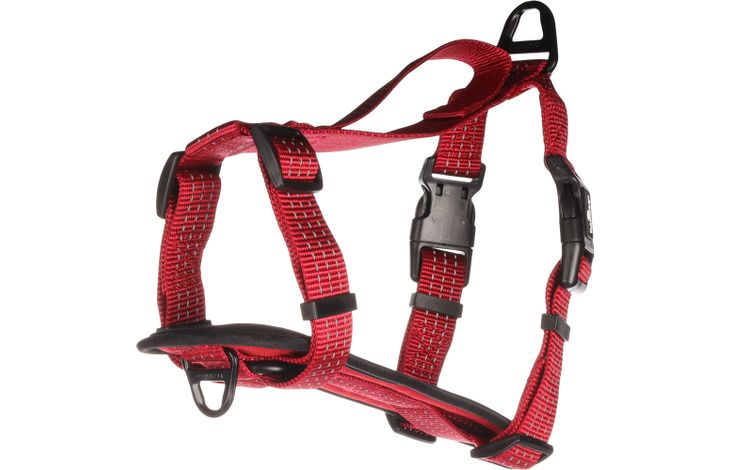 Flamingo Harness Zorba Red