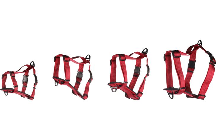 Flamingo Harness Zorba Red