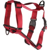 Flamingo Harness Zorba Red