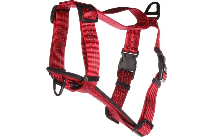 Flamingo Harness Zorba Red