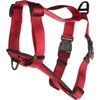 Harness Zorba Red