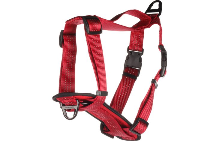 Flamingo Harnas Zorba Rood