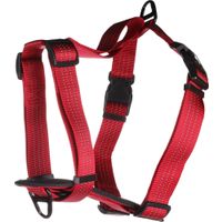 Flamingo Harnas Zorba Rood
