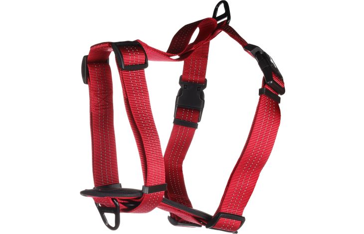 Flamingo Harnas Zorba Rood