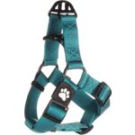 Harness Step&Go Zorba Turquoise